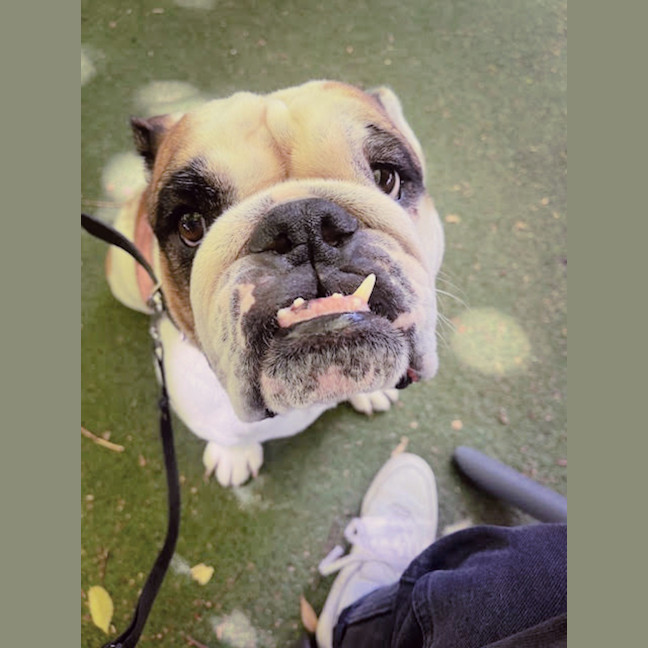 Photo of 👅Gordito👅