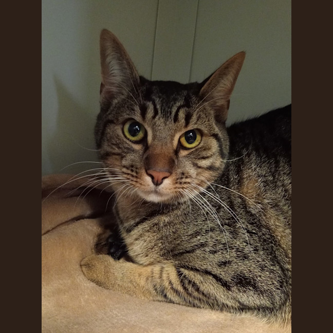Photo of Fritz