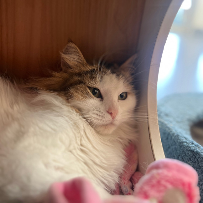 Photo of Ella