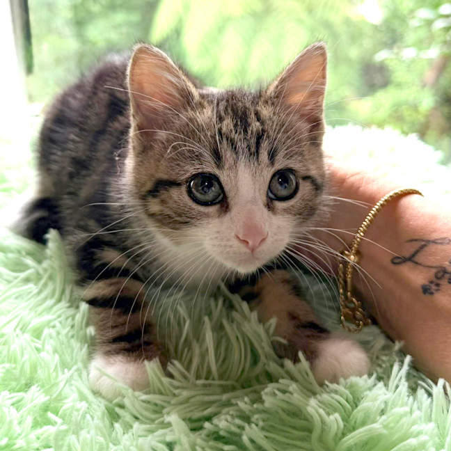 Photo of 🩷Juliet 🩷