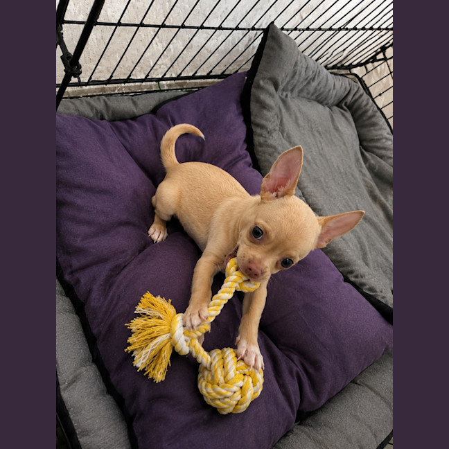 Photo of Lexi