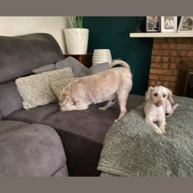 Photo of Angie And Naki Lozano