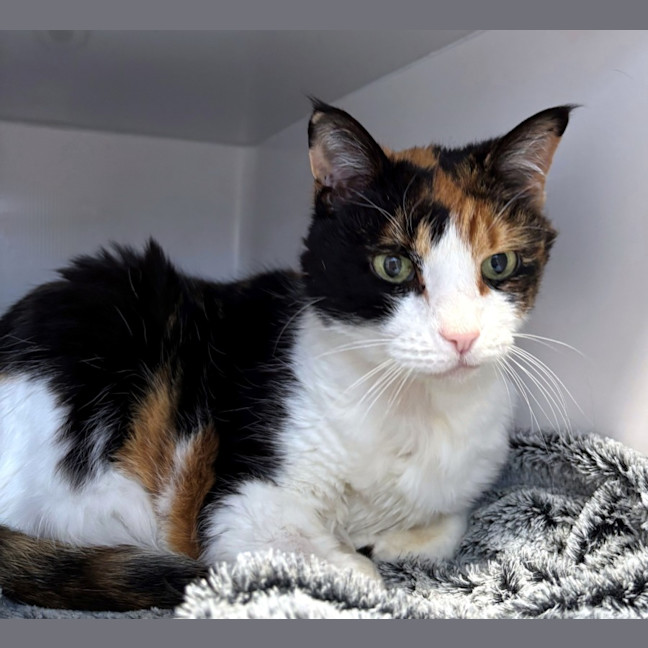 Photo of Po Sua013202