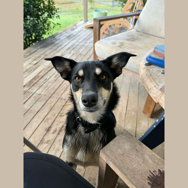 Photo of Ellie