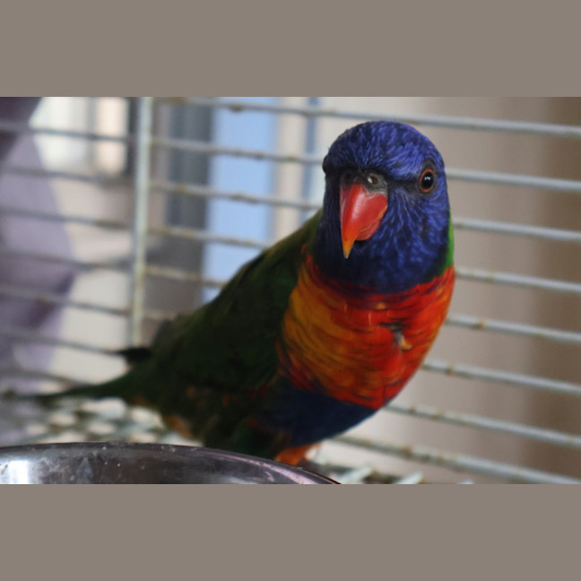 Photo of Sprout