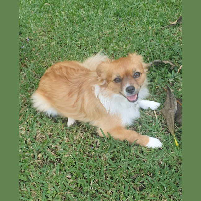 Photo of Lili