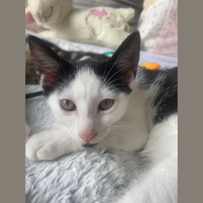 Photo of Zeb Sanderson