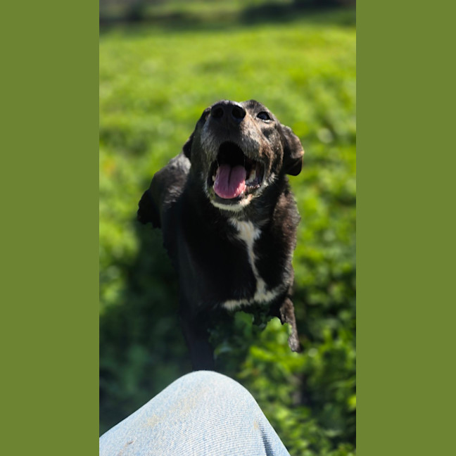 Photo of Matilda