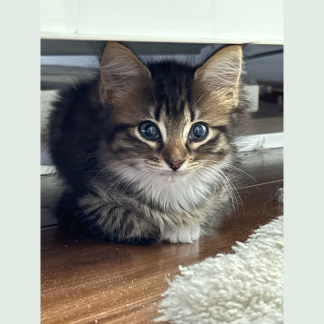 Photo of Betty & Cindy Lou Who