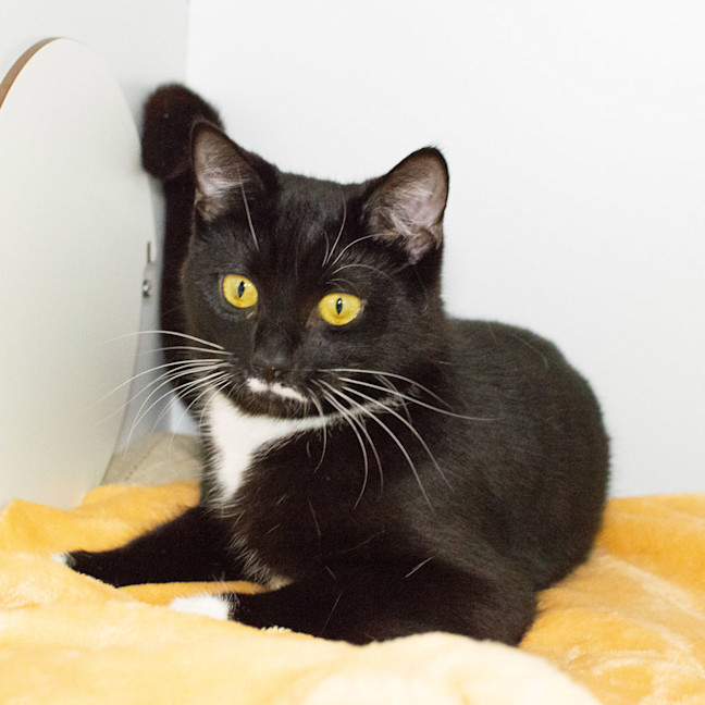Photo of Tuna