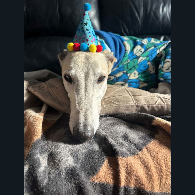 Photo of Ben