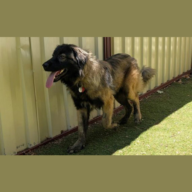 Photo of Tucker