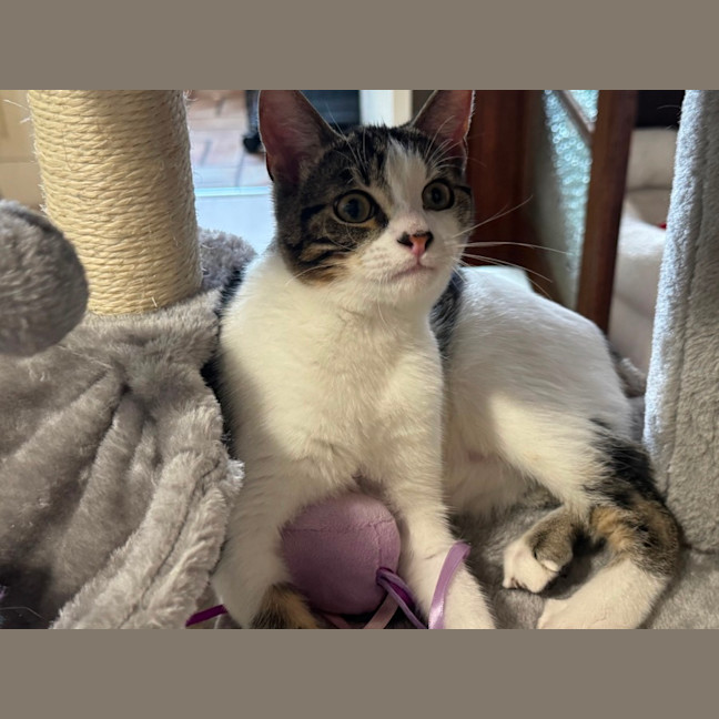 Photo of Charlie