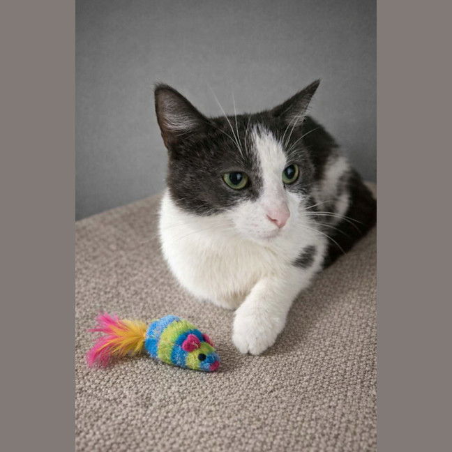 Photo of Birdie