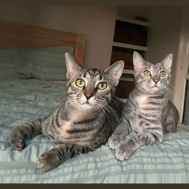 Photo of Maggie And Polly