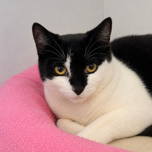 Photo of Shylah
