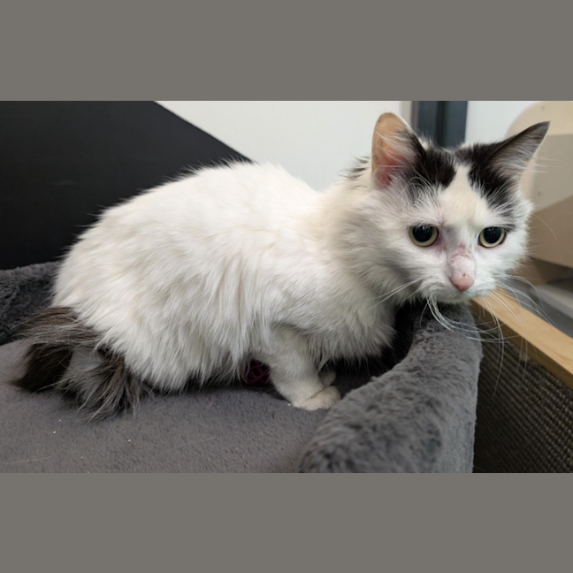 Photo of Sunday Market