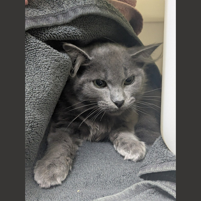 Photo of 💙 Misha 6699 💙