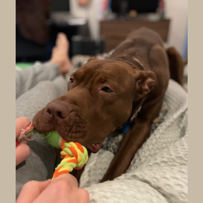 Photo of Coco