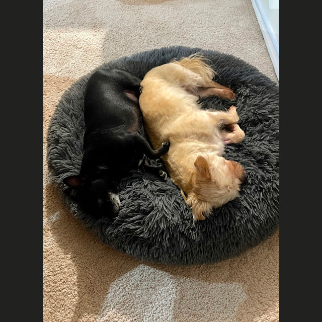 Photo of Milo & Angel