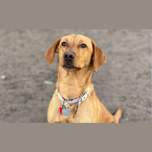 Photo of Nova