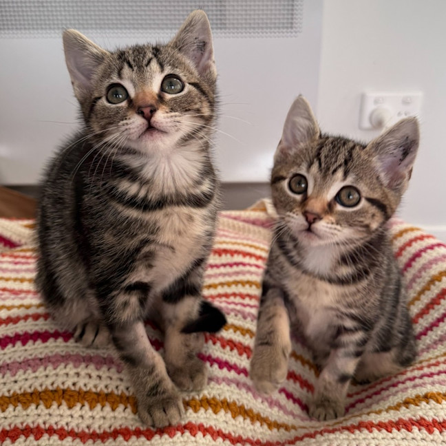 Photo of Daphne 🌻