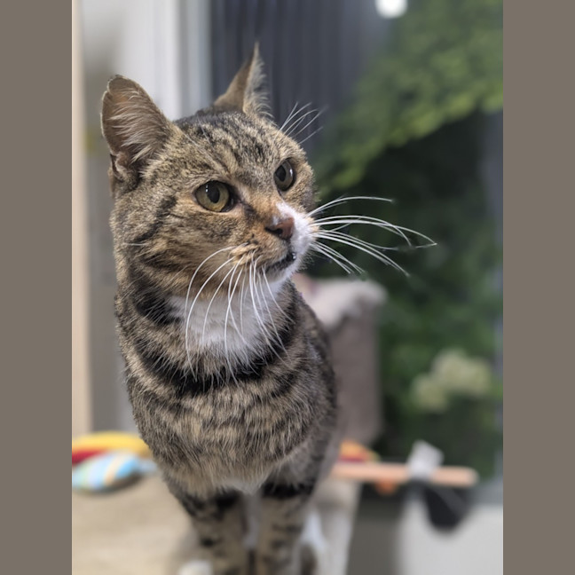 Photo of 🌱 Mochi 6381 🌱