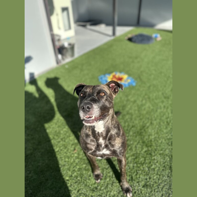 Photo of Suzie