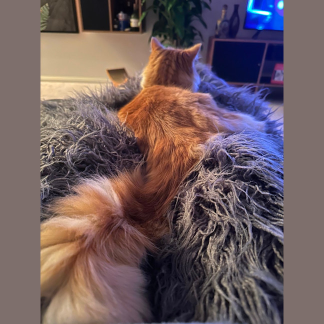 Photo of Jinji