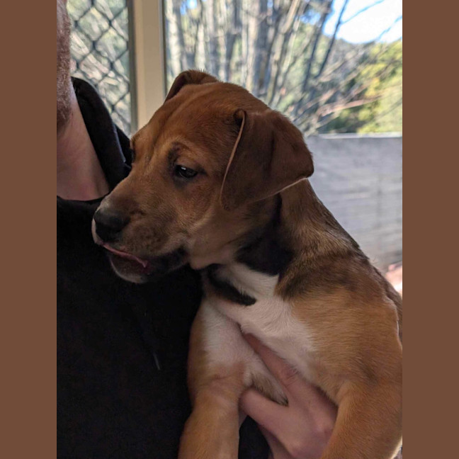 Photo of Bonnie
