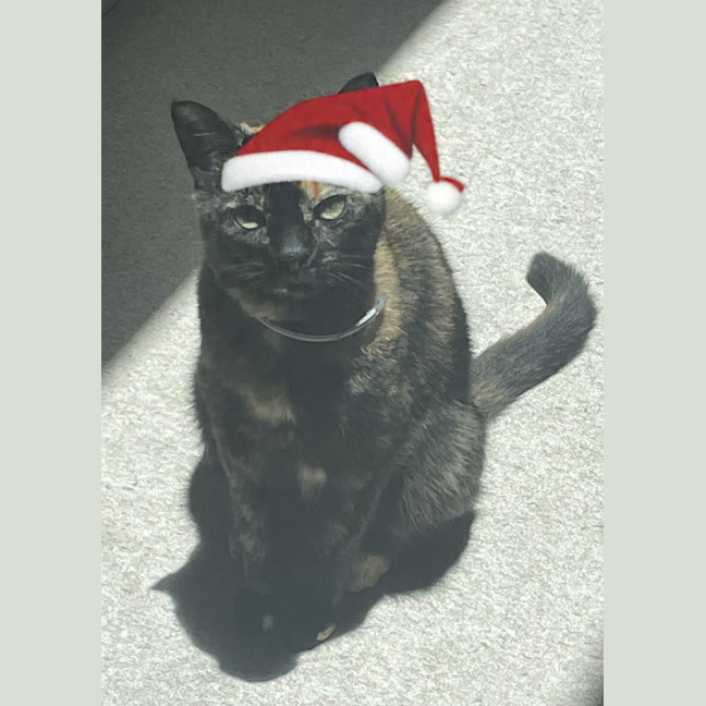 Photo of Sifah (8080)