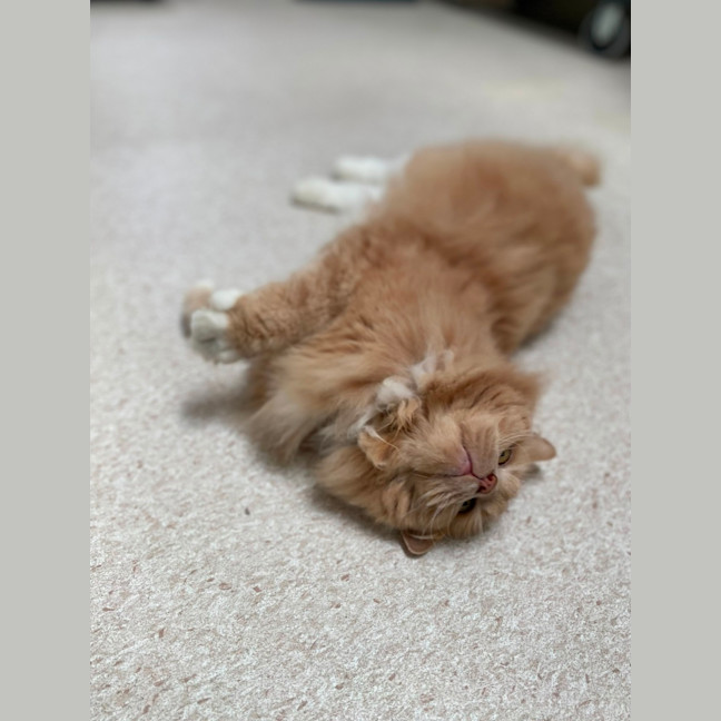 Photo of Garth (0030)