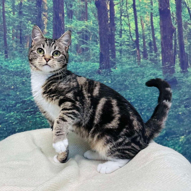 Photo of Taylor   Located In Preston