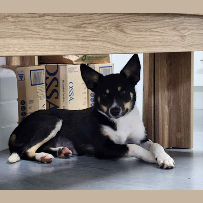 Photo of Pg (Pretty Girl)