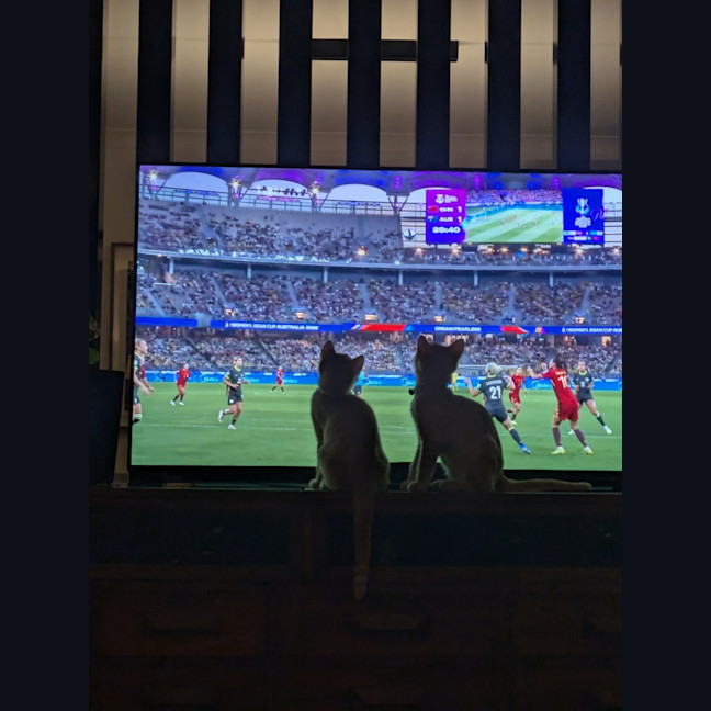 Photo of Fred & George (Aka Quentin & Quigley)