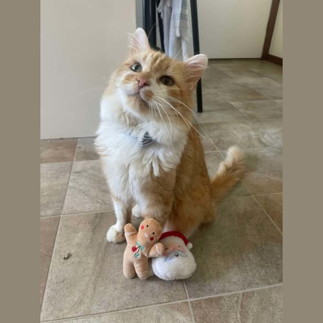 Photo of Mischief And Meggs