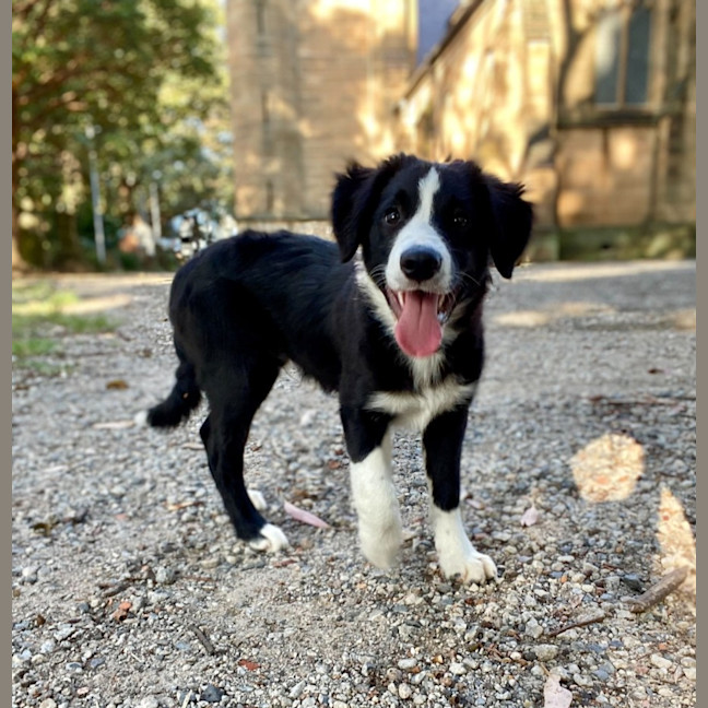 Photo of Trix