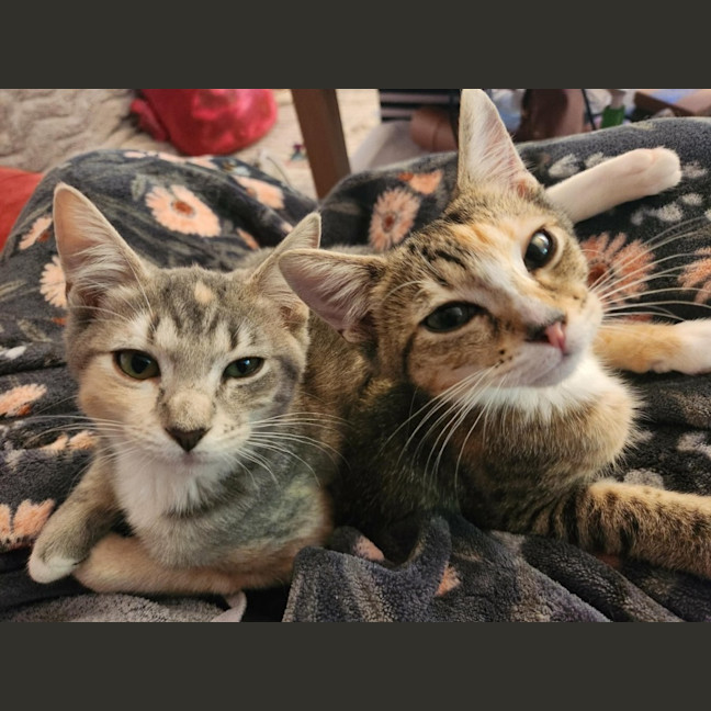 Photo of Elsie And Olive