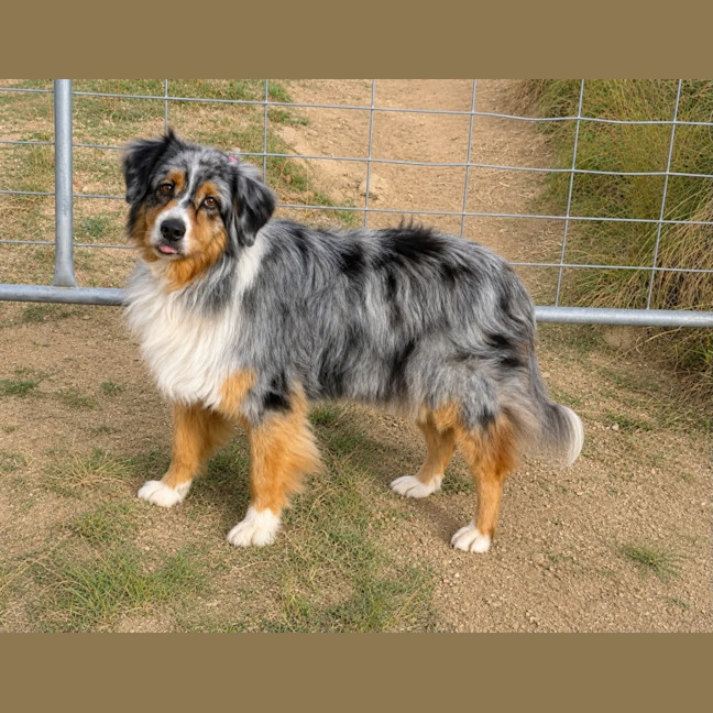 Photo of Vonnie