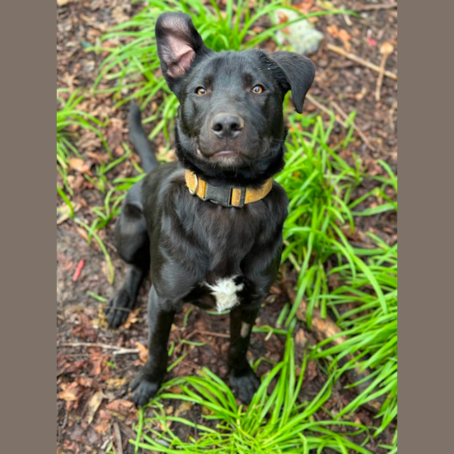 Photo of Tux 