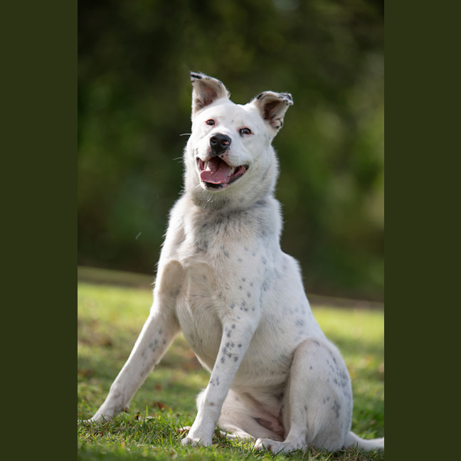 Photo of Breeze