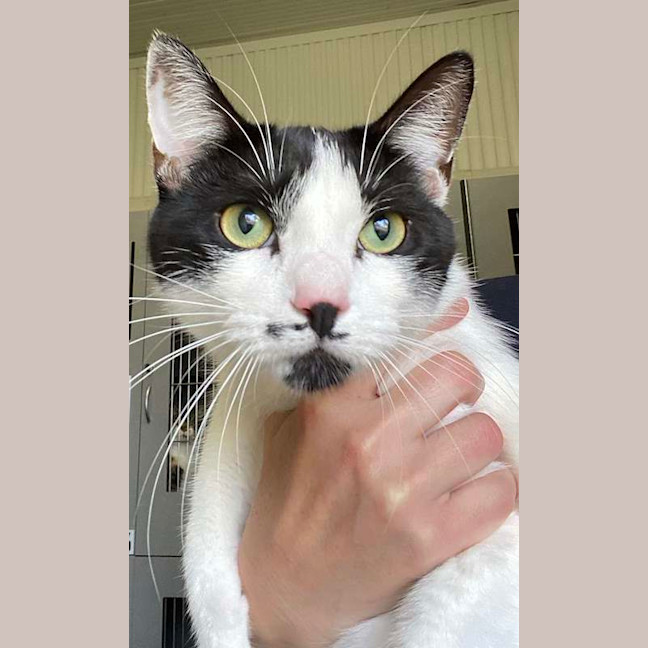 Photo of Oliver