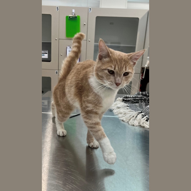 Photo of Floyd (0203)