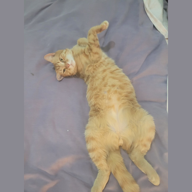 Photo of Nobby