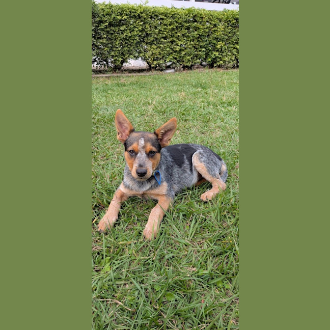 Photo of Marla