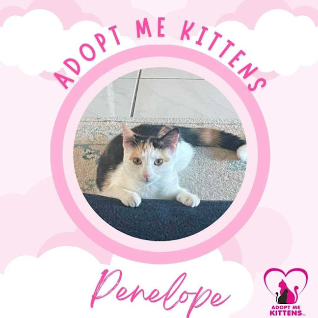 Photo of Penelope