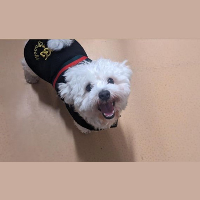 Photo of Max