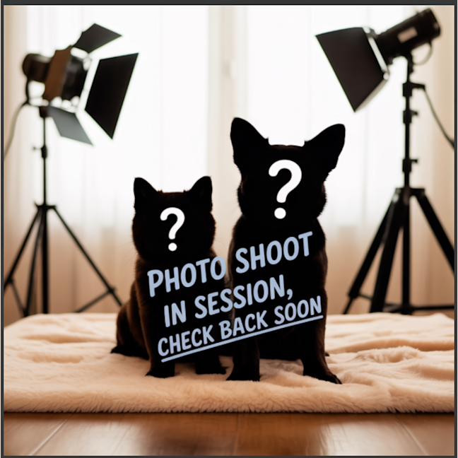 Photo of Luther Sickel