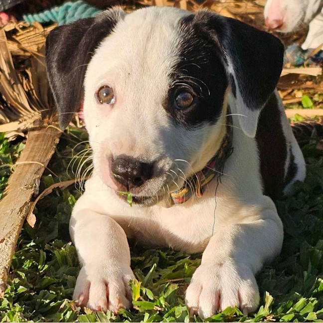 Photo of Jewel