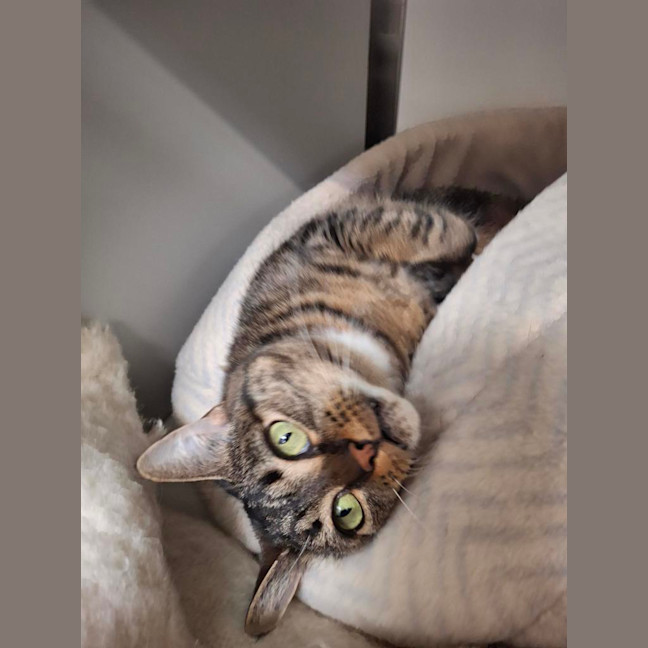 Photo of Polly